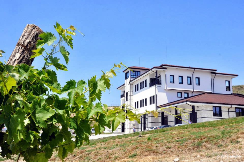 Melnik Wine Villa