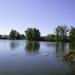 Lake in Los Angeles, California city