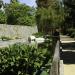 Water garden in Los Angeles, California city