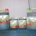 JACHUFI பழரச தொழிற்சாலை