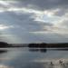 Pond