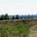 Балка Яцева в городе Белгород