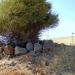 Nuraghe Carranca Simoi I