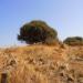 Nuraghe Carranca Simoi I