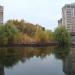 Остров (ru) in Moscow city