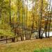 Beryozovy ravine in Moscow city