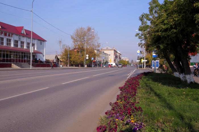 ул. Скворцова-Степанова, 8 - Ялуторовск