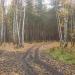 Переход через болото в городе Павловский Посад