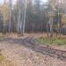 Переход через болото в городе Павловский Посад