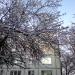 ул. Свердлова, 43 в городе Тольятти