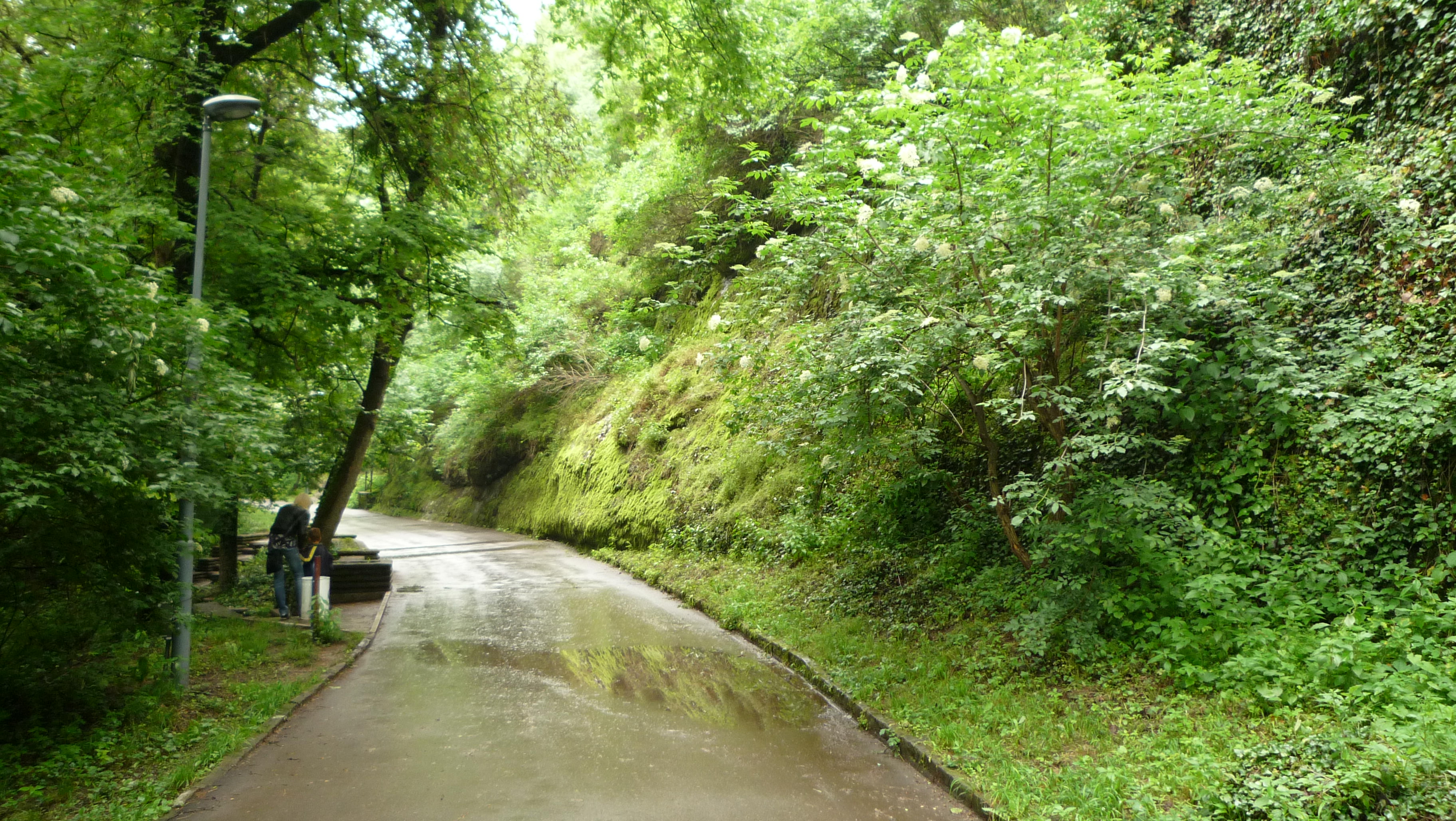 Bash Bunar Park