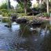 San Anton Gardens