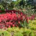 San Anton Gardens