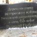 Каштан в честь 65-летия Победы в городе Гатчина