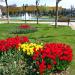 Nevzat Biçer Parkı in Efeler city
