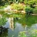 Bird Lake in Hong Kong city