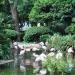 Bird Lake in Hong Kong city