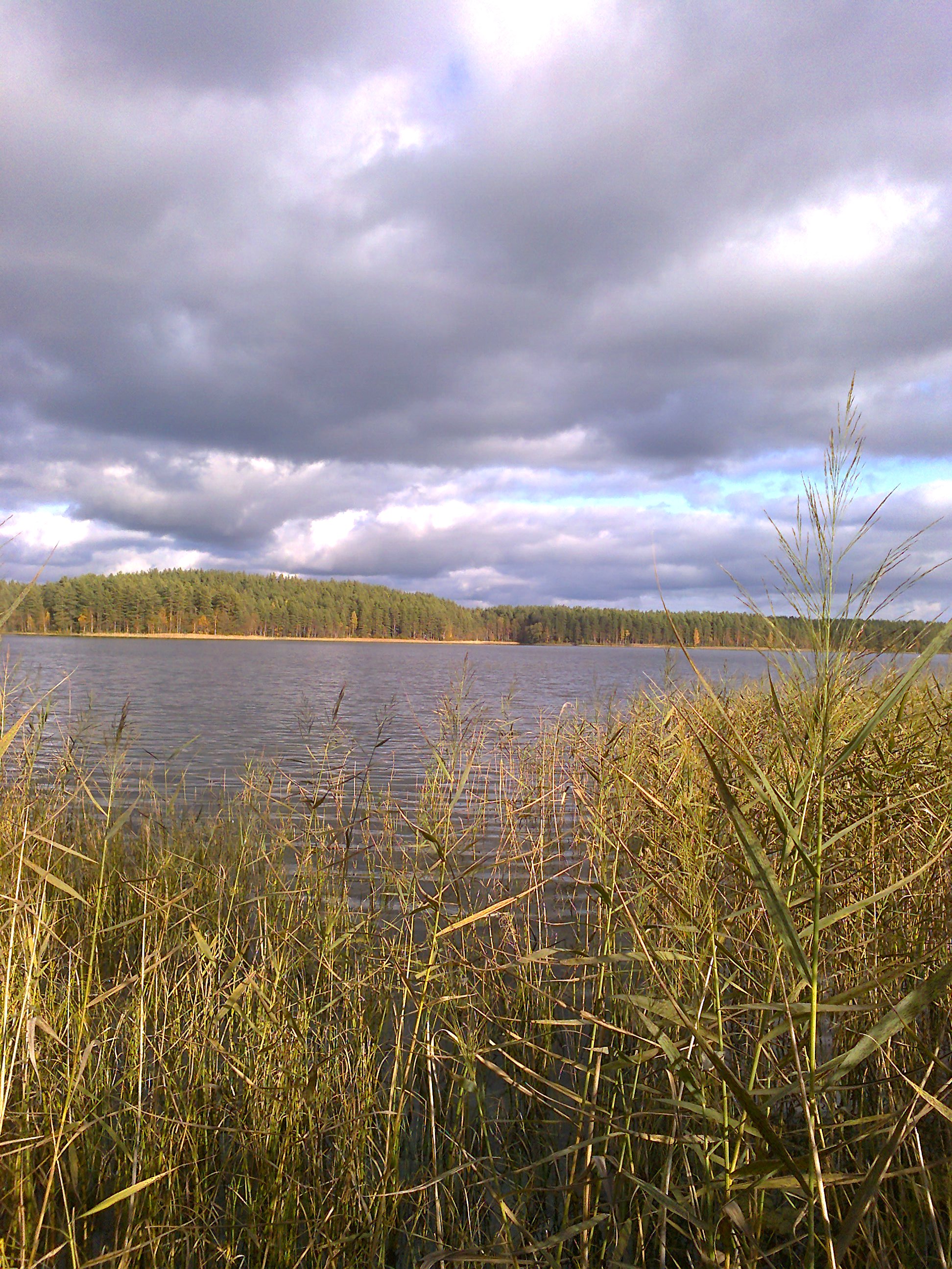 Озеро Саперное Ленинградская