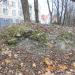 Руины церкви в городе Псков
