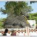 Nandi Bull  in Mysuru city