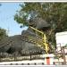 Nandi Bull  in Mysuru city