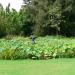 Adelaide Botanic Gardens in Adelaide, SA city