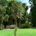 Adelaide Botanic Gardens in Adelaide, SA city