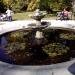 Fountain in Sofia city