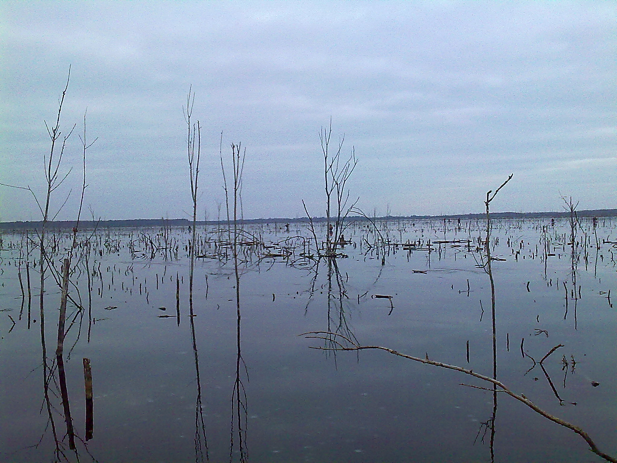 Торфяное озеро
