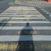 Пешеходный переход (ru) in Moscow city