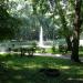Staw in Gniezno city