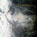 CHAKRA ROCK in Mulabagilu city