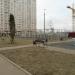 Спортивная площадка в городе Подольск