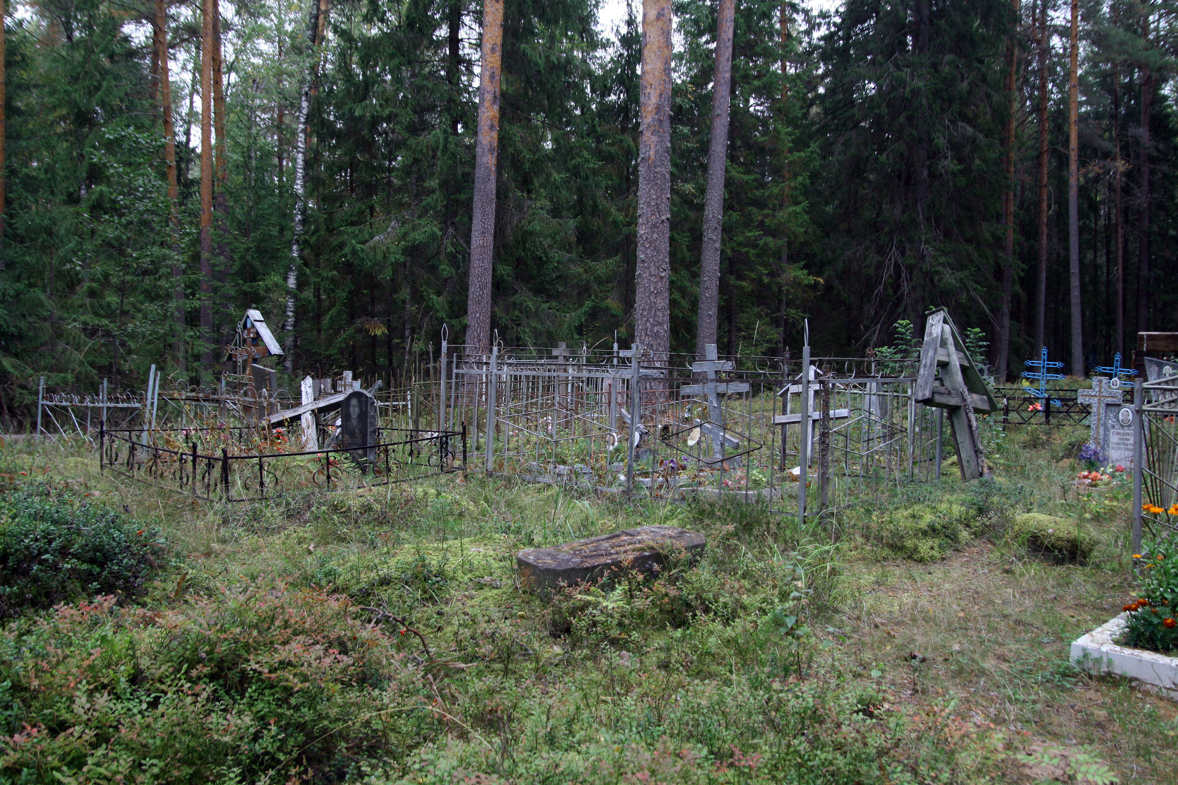 Старообрядческое кладбище, сычёвка
