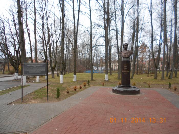 Памятник Петру Витгенштейну   Печоры image 7