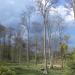 Parque Arqueológico e Ambiental de São João Marcos