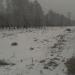 Красногорский парк в городе Прокопьевск