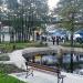 Staw in Sopot city