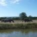 Mt. Etjo Safari Lodge Lake