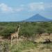 Mt. Edjo Safari Lodge reserve naturelle