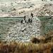 Annihilated Armenian cemetery of Old Jugha