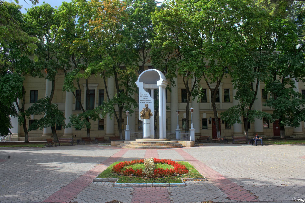 PuschinDenkmal Woronesch
