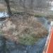 Островок в городе Павловский Посад