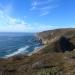 Tomales Point