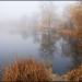 Lakes in Zhytomyr city