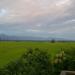 Brahamdev kanchanpur, Nepal