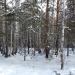 Место катастрофы самолета Ту-104Б под Свердловском 30 сентября 1973 г в городе Екатеринбург