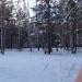 Место катастрофы самолета Ту-104Б под Свердловском 30 сентября 1973 г в городе Екатеринбург