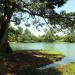 Parque Dona Zica (Bosque Municipal de Chavantes)