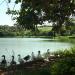 Parque Dona Zica (Bosque Municipal de Chavantes)